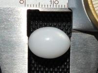 Clam Pearl with Flame 14.80 carats Clam Pearl with Flame 14.80 Carats