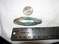 Abalone pearl 42 carats Abalone