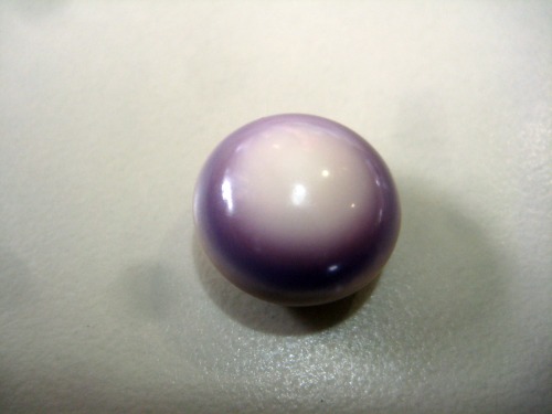 quahog pearl quahog pearl