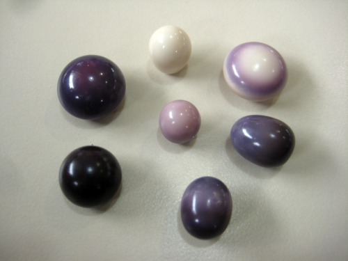 Quahog Pearls Quahog Pearls Photo