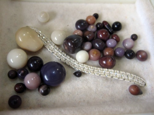 Quahog Pearls Quahog Pearls Photo