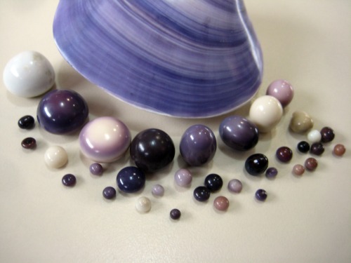 Quahog Pearls Quahog Pearls Photo