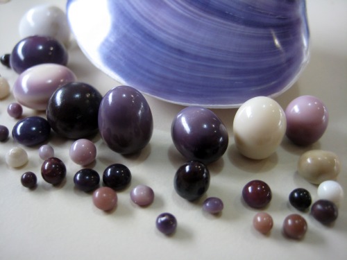 Quahog Pearls Photo