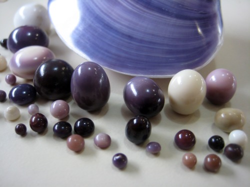 Quahog Pearls Quahog Pearls Photo