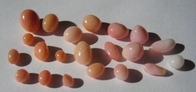 21 Conch Pearls 18.65carats total weight