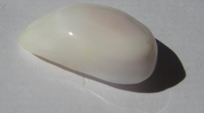 15.22 carats Baroque White 21mm Conch Pearl