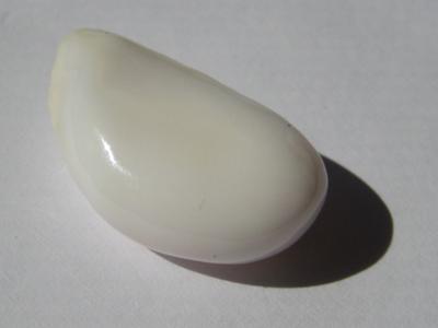 15.22 carats Baroque White 21mm Conch Pearl