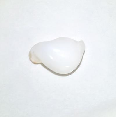 22 Carat Baroque Clam Pearl