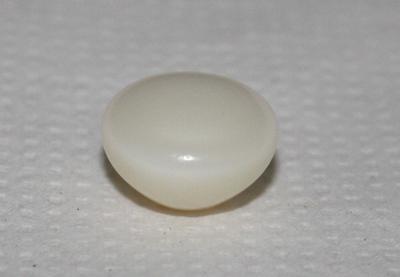 22.8 ct  Clam Pearl