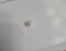 Saltwater natural Pearl
