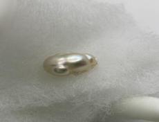 Saltwater natural Pearl