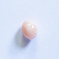conch pearl