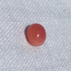 conch pearl