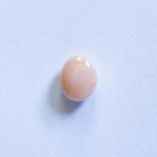 conch pearl