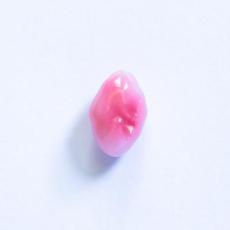 conch pearl