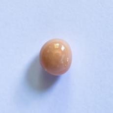 conch pearl