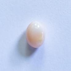 conch pearl
