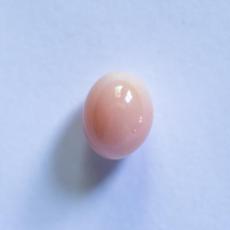 conch pearl