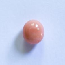 conch pearl