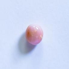 conch pearl
