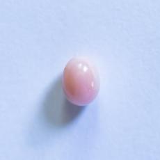conch pearl