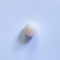 conch pearl