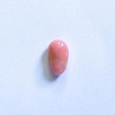 conch pearl