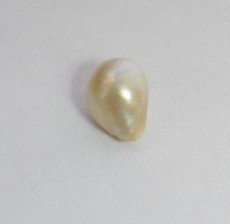 Mozambique Pearl