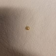 Natural Pearl
