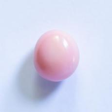 conch pearl