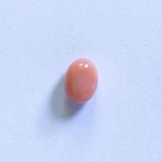 conch pearl