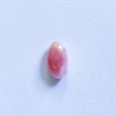 conch pearl