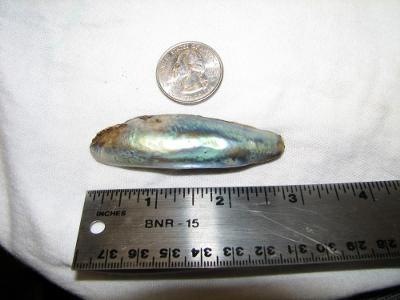 abalone pearl