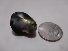 abalone pearl