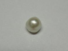 Saltwater natural Pearl Saltwater natural Pearl
