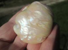 Natural Blister