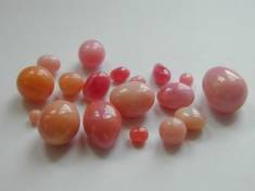 Perle De Conque Rose Saumon Naturelle - 1 Carat - Très Rare - Provenance Caraïbes
