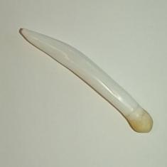  Pearl