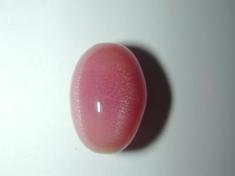 conch pearl