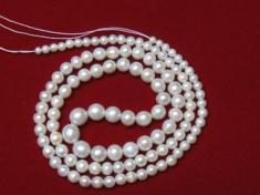 Natural Pearl Necklace