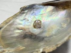 Natural Blister Pearl