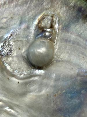 Natural Blister Pearl