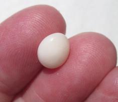 Pearl Pearl