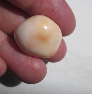 Pearl Pearl