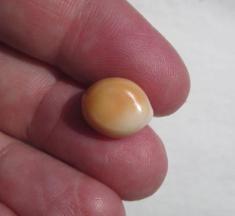Pearl Pearl