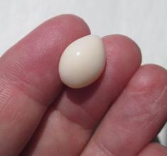 Pearl Pearl