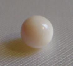Conch Pearl