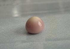 quahog pearl