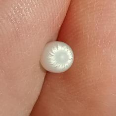  Pearl
