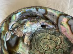 Natural Blister Pearl